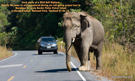 Elephant_on_the_Road_Thailand_Gift_of_Happiness