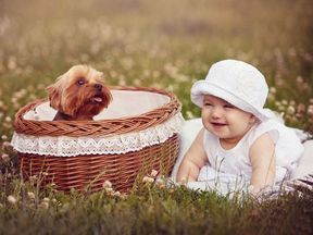 Cute baby and dog